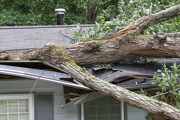Storm Damage Roof Repair Services